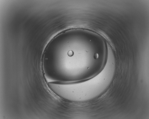 X0000068741340200605011015