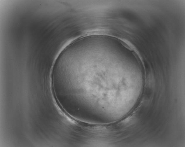 X0000068741341200605011015