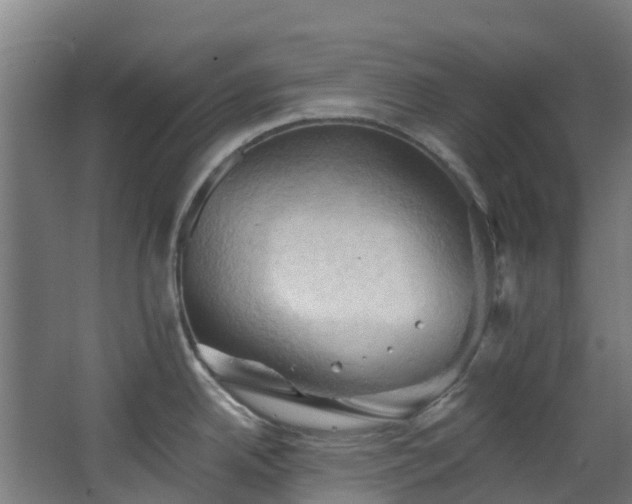 X0000068741342200605011015