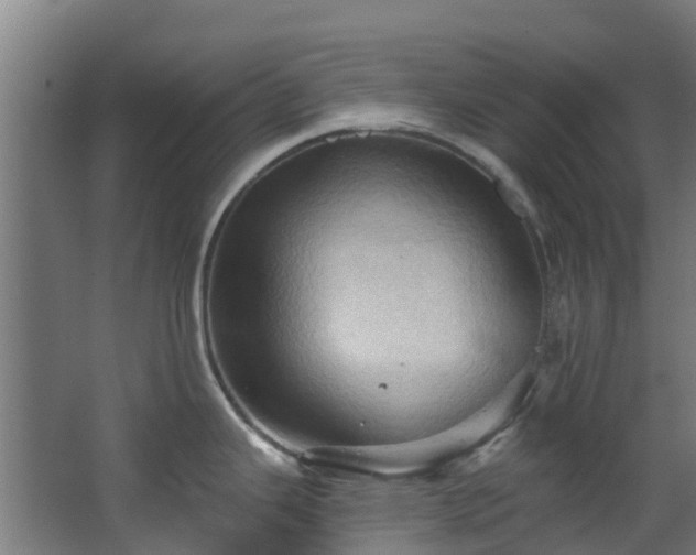 X0000068741343200605011015