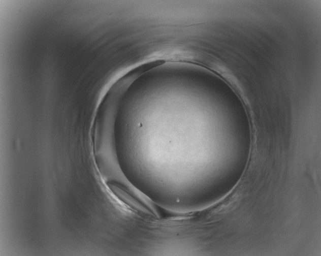 X0000068741344200605011015