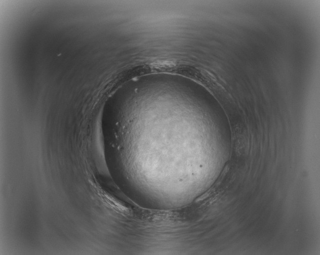 X0000068741345200605011014