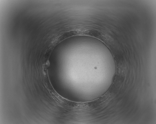 X0000068741346200605011014