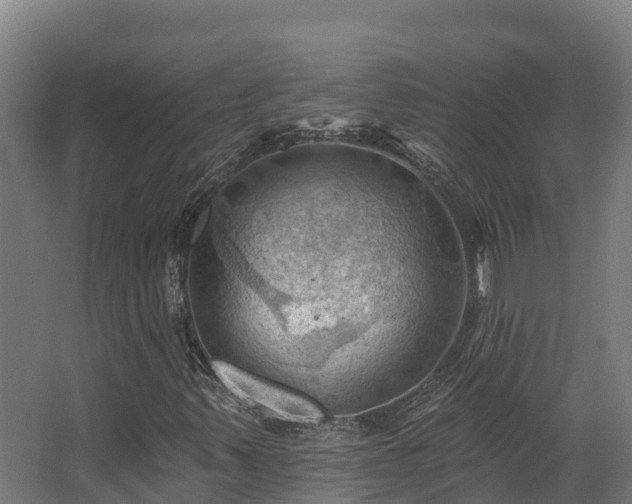 X0000068741347200605011014