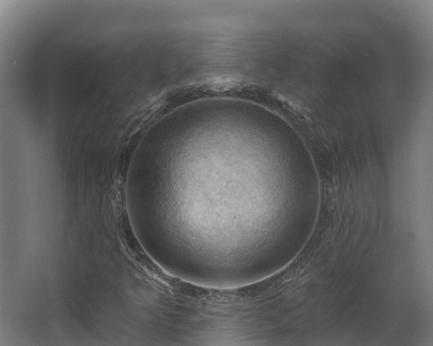 X0000068741349200605011014