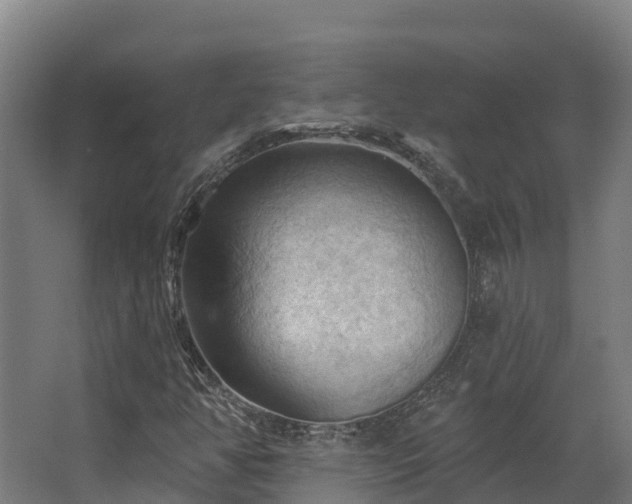 X0000068741350200605011014