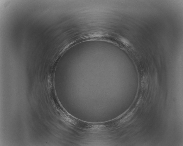 X0000068741353200605011014