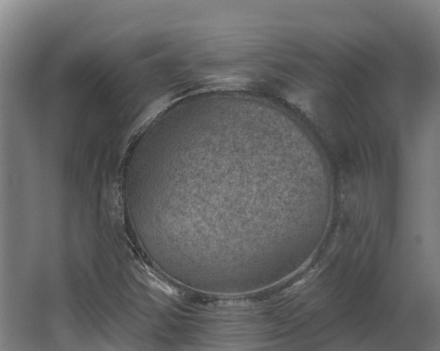 X0000068741354200605011014