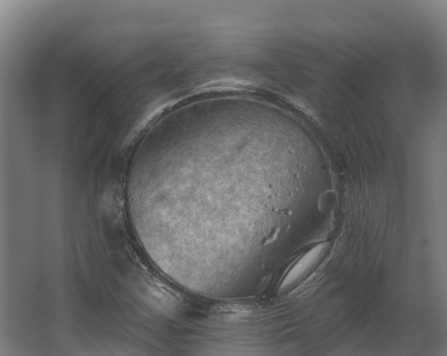 X0000068741355200605011014