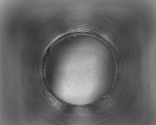 X0000068741356200605011014