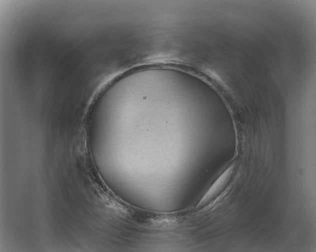 X0000068741358200605011014