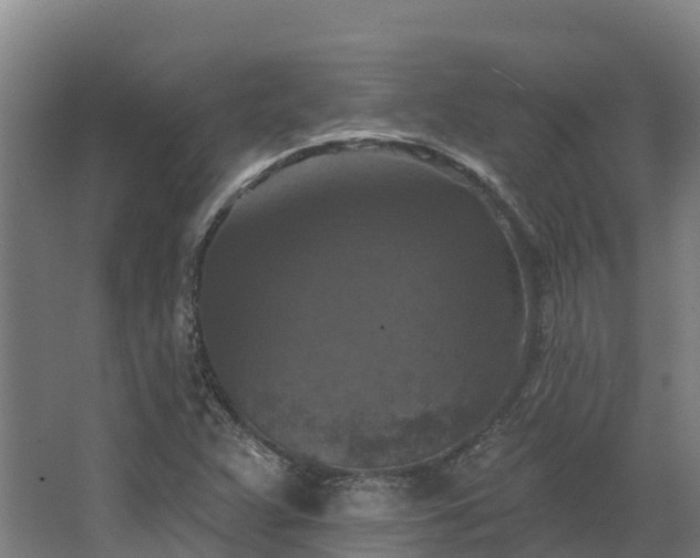 X0000068741359200605011014