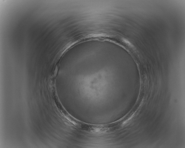 X0000068741361200605011014