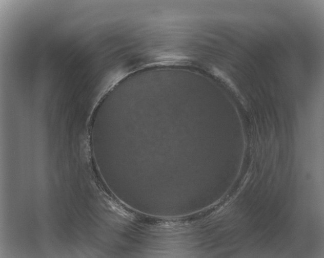 X0000068741362200605011014