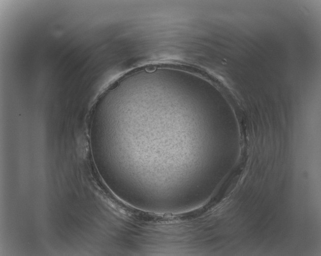 X0000068741363200605011014