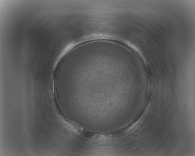 X0000068741365200605011014