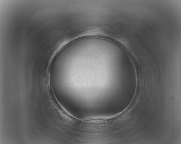 X0000068741366200605011014