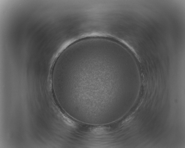 X0000068741367200605011014