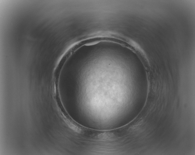 X0000068741368200605011014