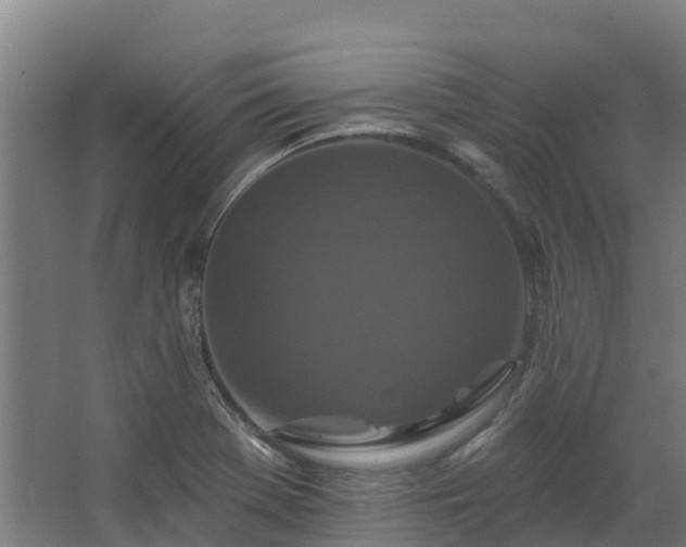 X0000068741369200605011014