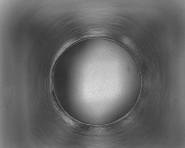 X0000068741370200605011014