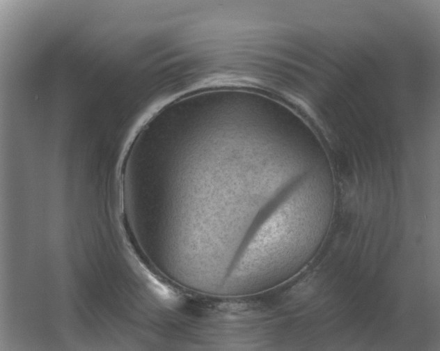 X0000068741371200605011014