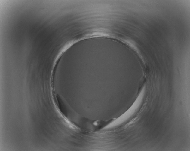 X0000068741373200605011014