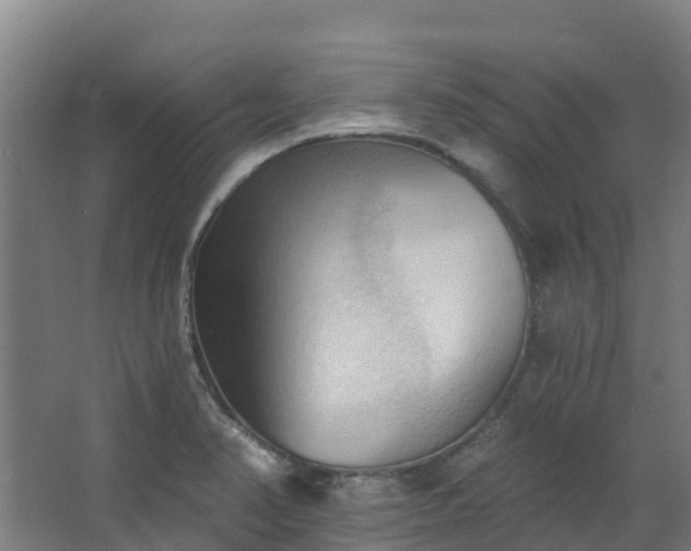 X0000068741374200605011014