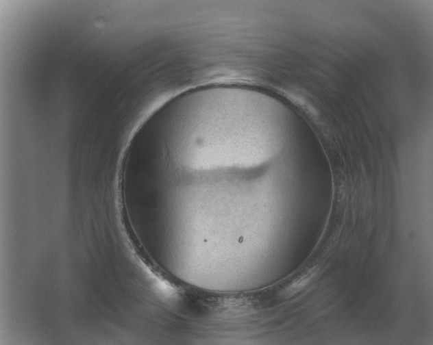 X0000068741375200605011014