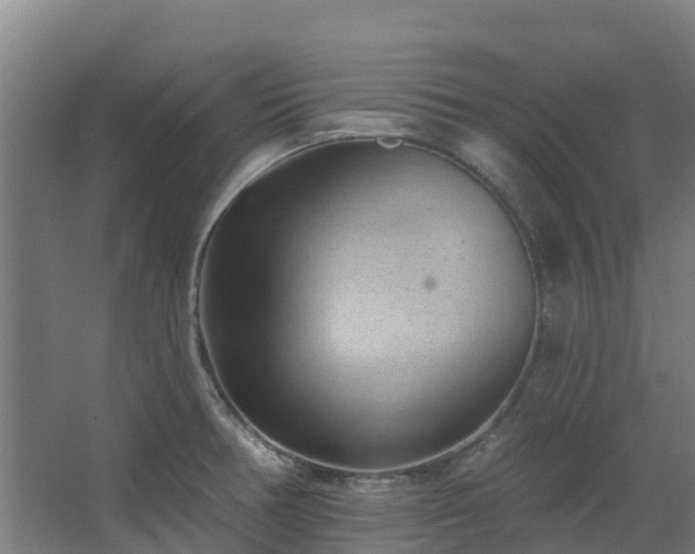 X0000068741378200605011014