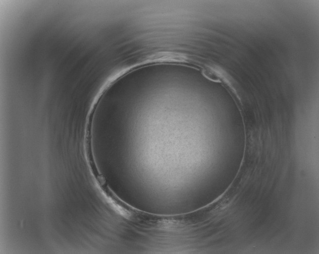 X0000068741379200605011014