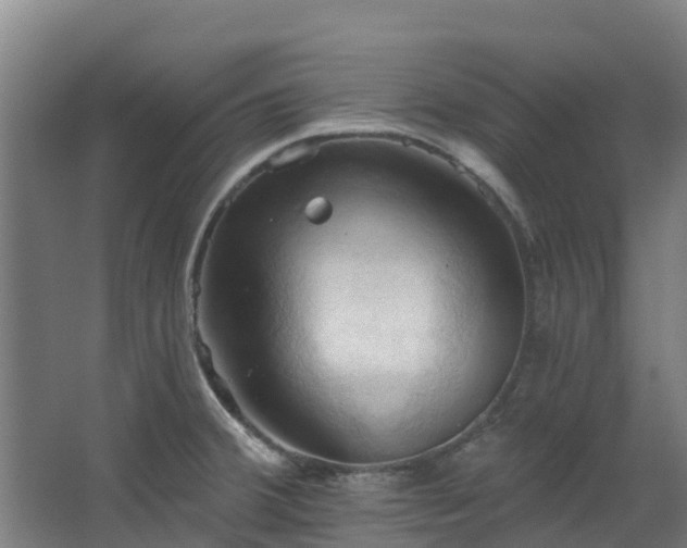 X0000068741380200605011014