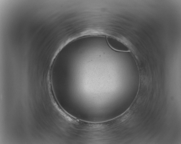 X0000068741382200605011014