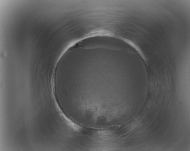 X0000068741383200605011014