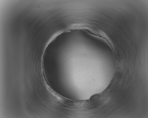 X0000068741386200605011014