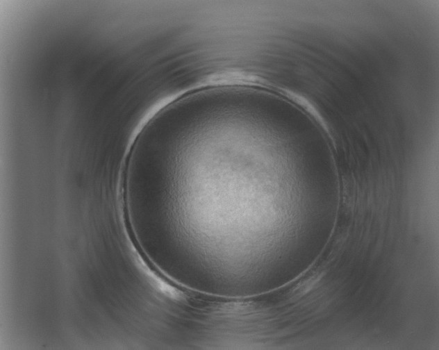 X0000068741387200605011014