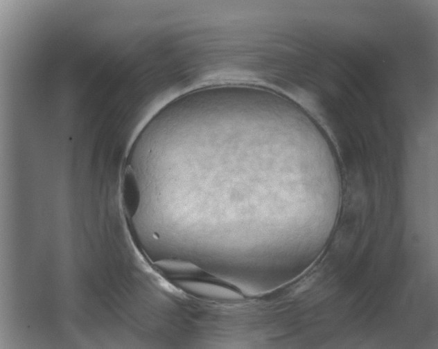 X0000068741390200605011014