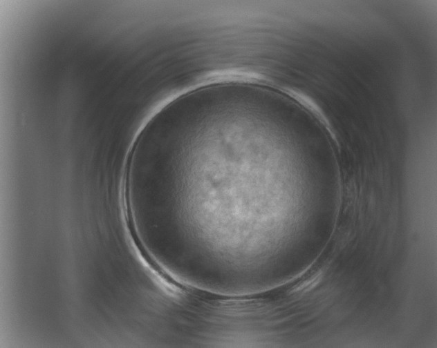 X0000068741391200605011014