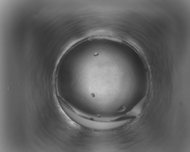 X0000068741392200605011014