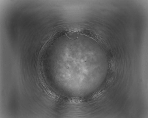 X0000068741393200605011013