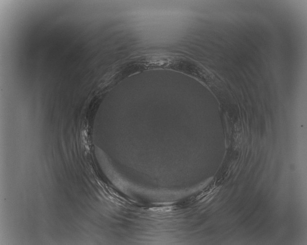 X0000068741394200605011013