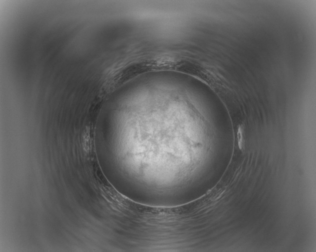 X0000068741395200605011013