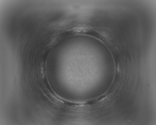 X0000068741396200605011013