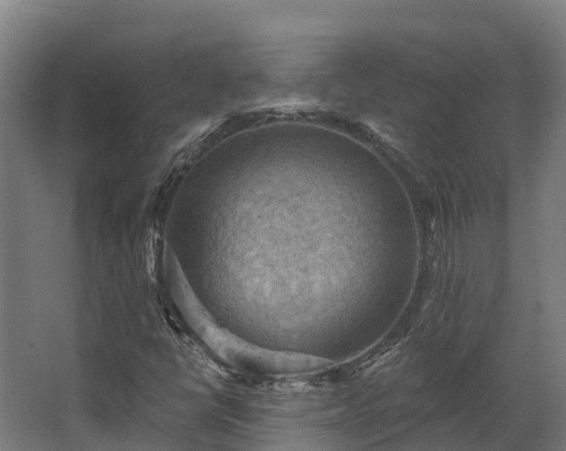 X0000068741398200605011013