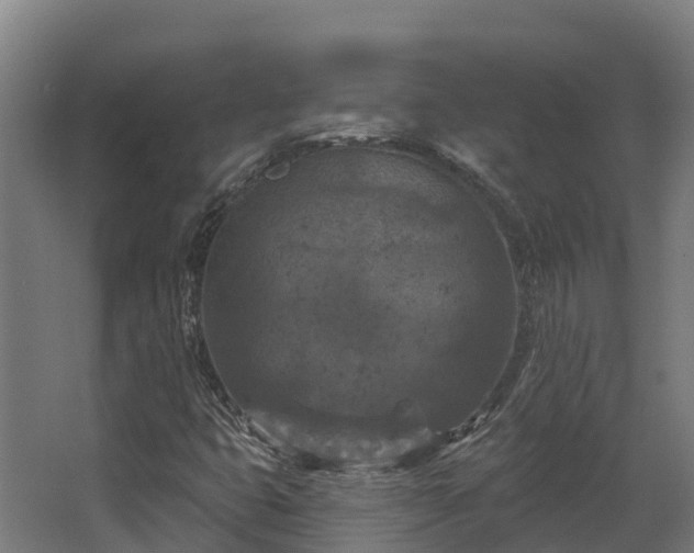 X0000068741399200605011013