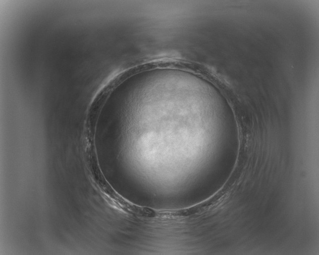 X0000068741400200605011013