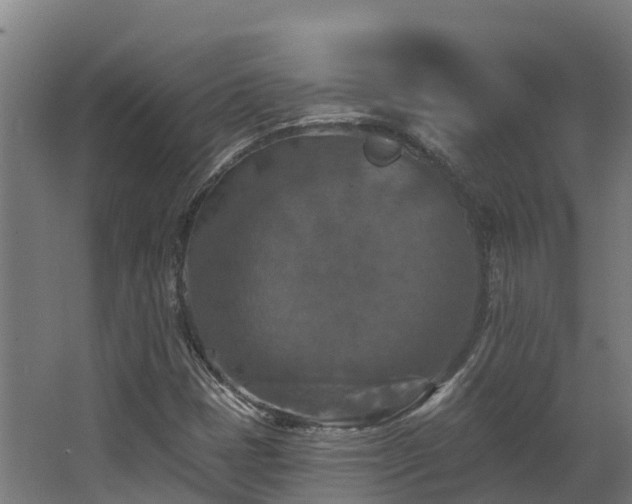 X0000068741401200605011013