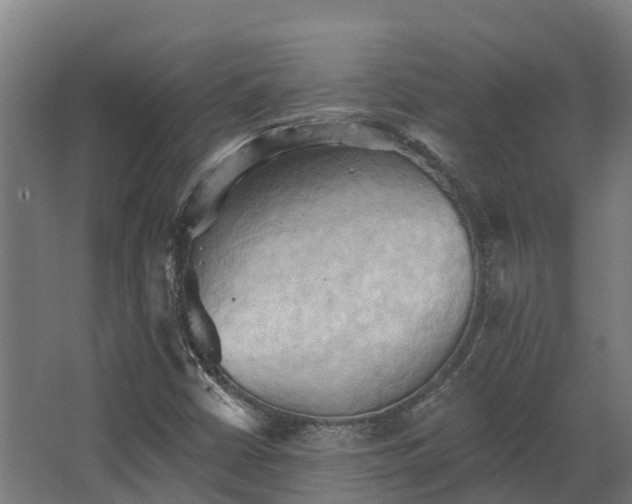 X0000068741402200605011013