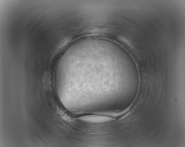 X0000068741403200605011013