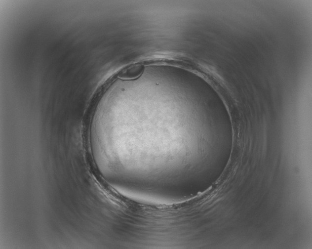 X0000068741404200605011013